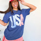 USA Picnic