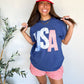 USA Picnic